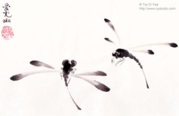Dance of the Dragonflies by Tai Oi Yee